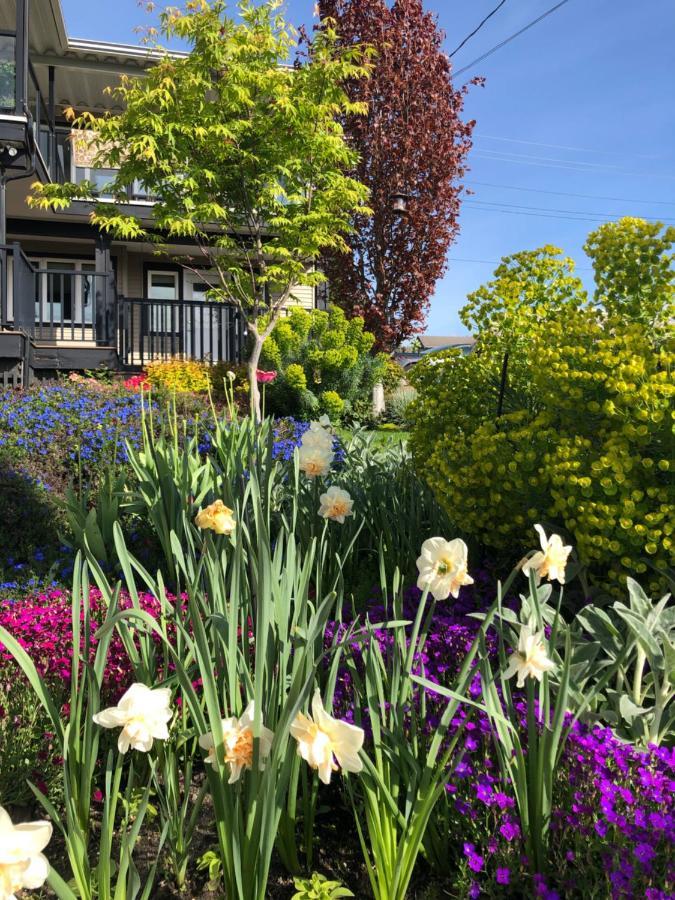 Lovely J Home -Stunning River View Cozy Two Bedroom Private Suite New Westminster Exterior foto
