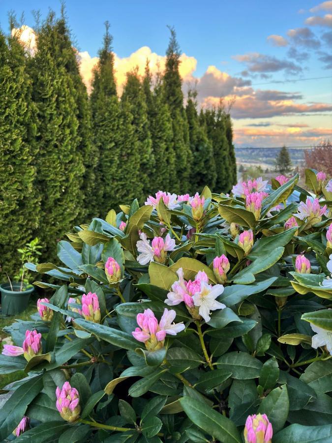 Lovely J Home -Stunning River View Cozy Two Bedroom Private Suite New Westminster Exterior foto